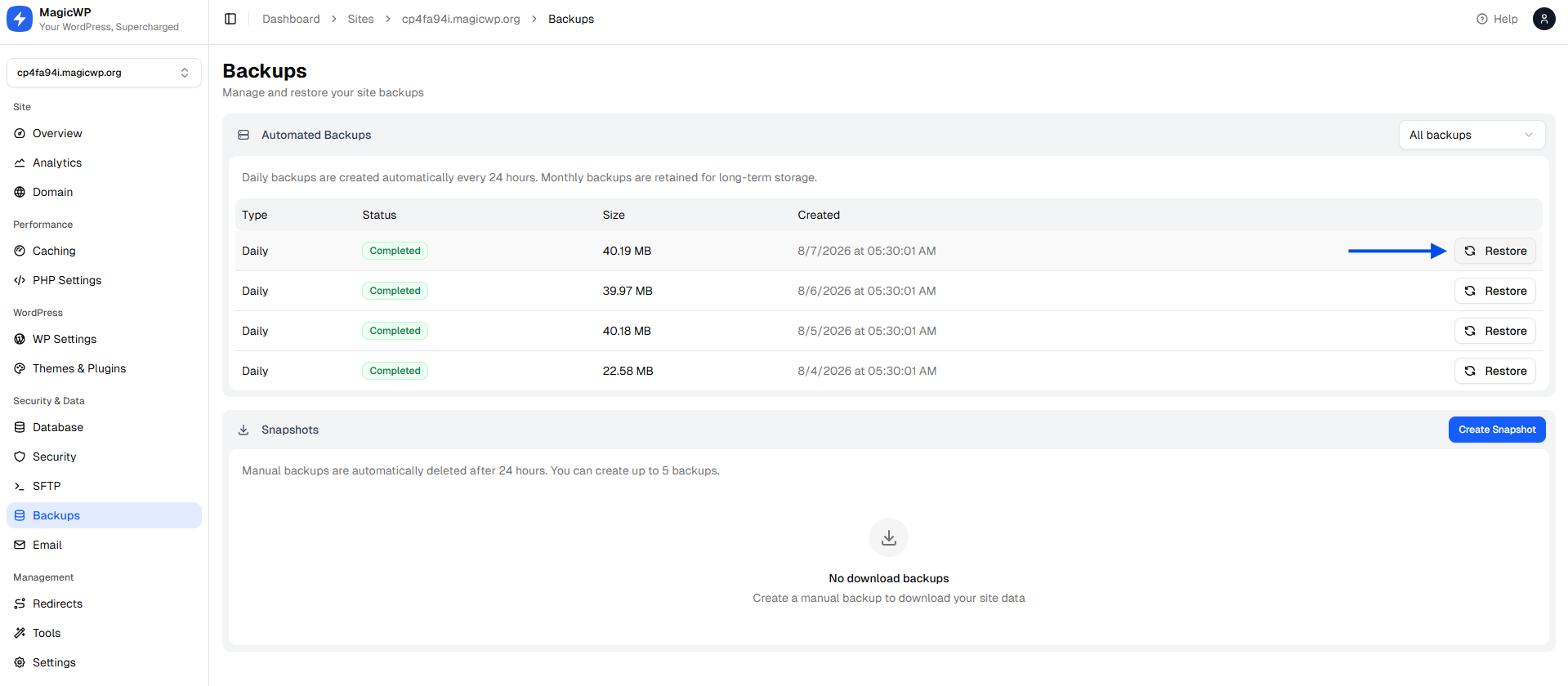 MagicWP Backup Restore